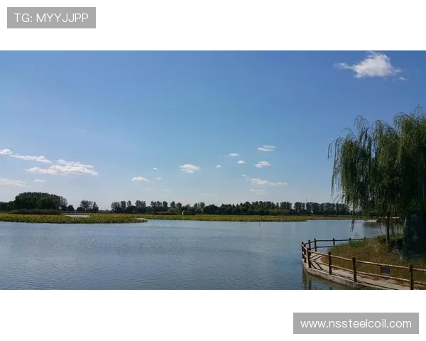 9游滚球盘常见问题与解决方案详解帮助新手快速上手实现盈利目标